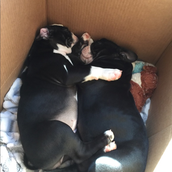 Fall surprises - Picture 6 of 6